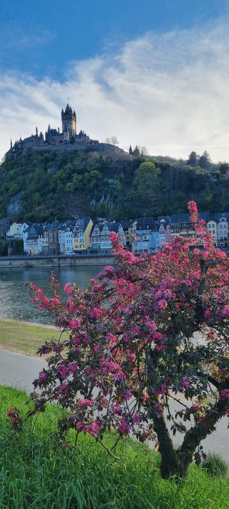 Pension Regina Cochem Exteriör bild